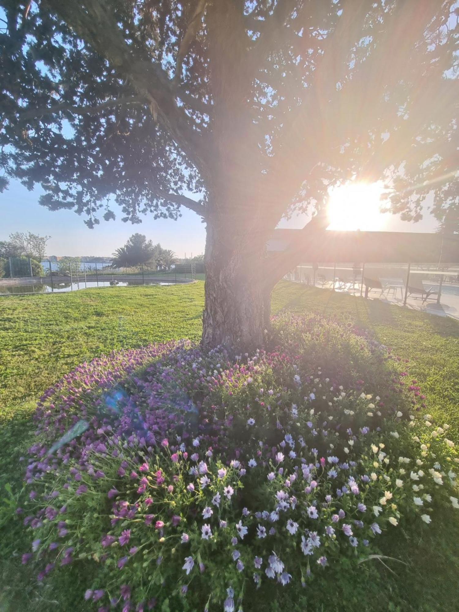 Ariane Hotel Fos Sur Mer Fos-sur-Mer Luaran gambar